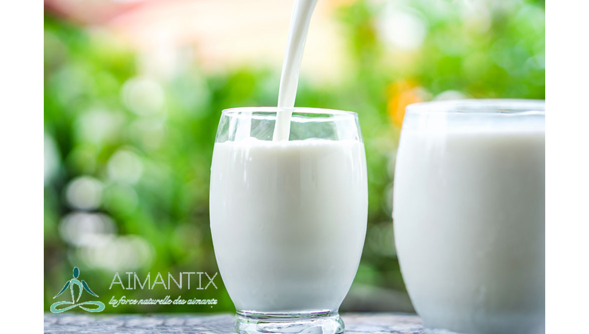 Ce qu’il faut savoir sur le lait 