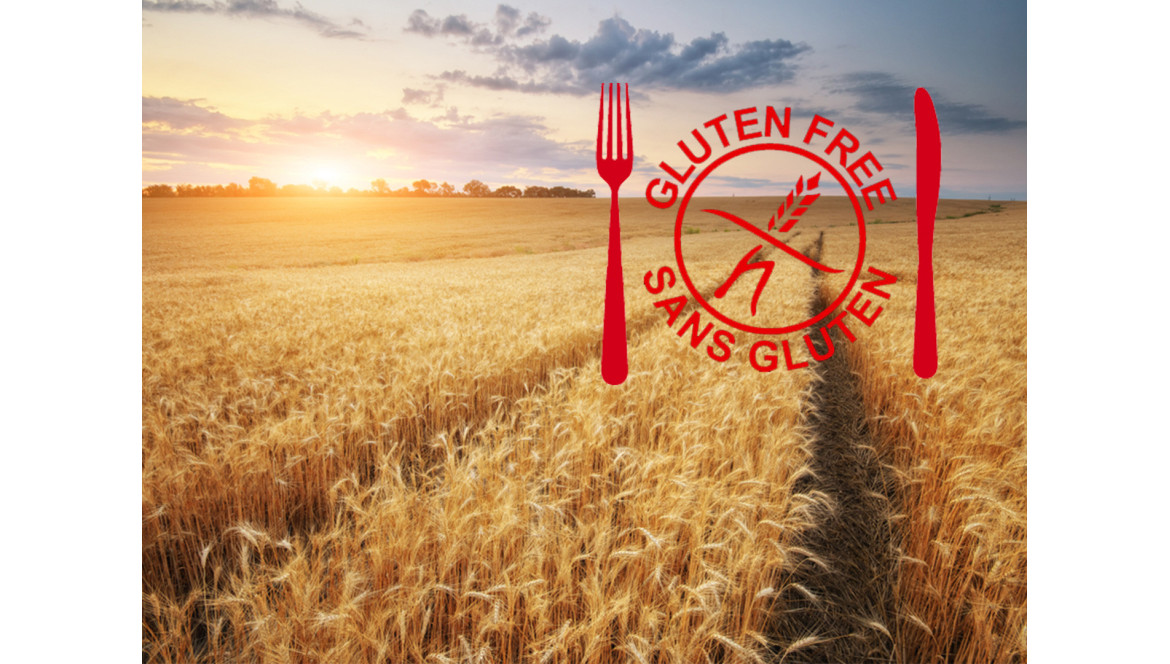 Le gluten: Un phénomène d’obsolescence ?